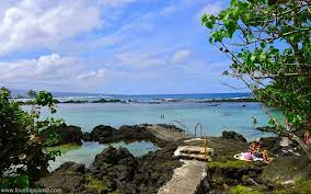 More images for carlsmith beach park » Carlsmith Beach Park A K A Four Mile In Hilo Big Island Hawaii