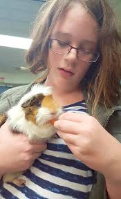 Teacher's pets: Classroom animals contribute to students' education