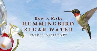 You'll also need to watch the feeders more closely as they will be emptied out faster. How To Make Hummingbird Food Sugar Water Recipe