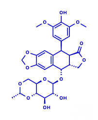 Image result for Etoposide