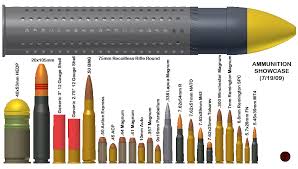 20 Disclosed Ammunition Caliber Chart