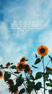 “i don't want to go to peru. Sunflowers With Quotes Wallpapers Wallpaper Cave