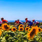 Matt Rendell’s Inside Stories of the Tour de France event image
