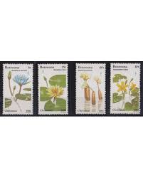 Image result for Ottelia kunenensis