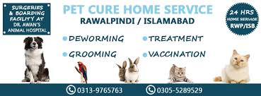 Check spelling or type a new query. Pet Cure Home Service Rawalpindi Islamabad Posts Facebook