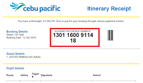 How To Pay Cebu Pacific Booking Using Bdo Online Banking