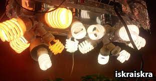 We did not find results for: How To Grow Weed With Cfls Grow Weed Easy