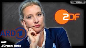 für die Barrierefreiheit ihrer Angebote selbst verantwortlich sind und es  durchaus