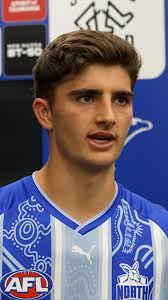 "We feel like we've come a long way over the off-season and we just didn't  bring anywhere near the level we're capable of.", Harry Sheezel sums up our  disappointing night against the Swans.