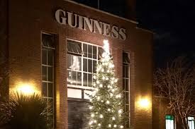 Unsold Guinness beer used to fertilize Christmas trees during lockdown