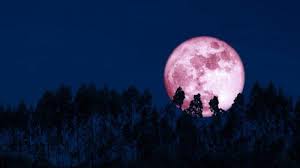Gerhana bulan penumbra adalah gerhana yang terjadi apabila bulan berada di daerah penumbra. Catat Waktunya Fenomena Langit Strawberry Full Moon Dan Gerhana Bulan Penumbra Terjadi Malam Ini Tribunnewswiki Com Mobile