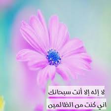 حائل حايل الرياض جده جدة عنيزه بريده صوري تصوير تصميم تصميمي رمزيات انستقرام بنات شباب حلا مساءالخير صباح الخير اضحك متابع Daisy My Secret Garden Daisy Flower