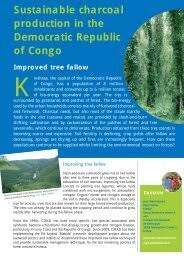 Image result for Sherbournia bignoniiflora