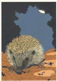 Hedgehog By Bird Diane Williams Published By Bird Www Birdsbranch Co Uk Dieren Tekenen Dieren Egels