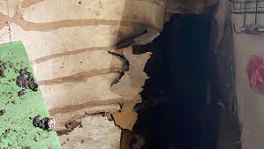 Fundraiser for Antonio Hernandez by Cindy Castillo : Fire Relief Fund for  the Hernandez Family