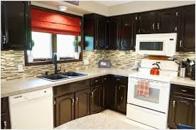 698 Remove Kitchen Cabinet Doors Ideas