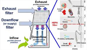 Maybe you would like to learn more about one of these? Gibco Cell Culture On Twitter Virtual Cell Culture Lab Training How Well Do You Know Your Hood Https T Co Usbf5ubbwv Gibcoeducation Https T Co 3bycszzqd7