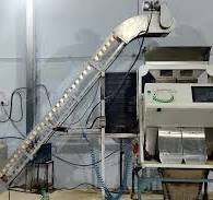Cashew Kernel Color Sorting System