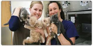 Maybe you would like to learn more about one of these? Animal Medical Care Of Newport Oregon Veterinarian For Family Pets Farm Exotic Avian And Marine Mammals