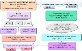 In silico methods do not involve risk to personnel or the community because they shift threats to life and property into a virtual world, where they are a matter of 1s and 0s. An In Silico Method Leads To Recognition Of Hub Genes And Crucial Pathways In Survival Of Patients With Breast Cancer Scientific Reports