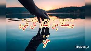 وجعلنا من الماء كل شيء حي سورة الانبياء 30 للشيخ مشاري العفاسي Youtube