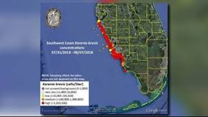 New Map Shows Red Tide Problems Worsening Along Floridas