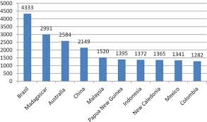 Image result for Multidentia sp. A