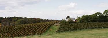 Maybe you would like to learn more about one of these? Maryland Winery Wedding Venues Winery Wedding Guide