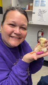 Abingdon-Avon CUSD #276