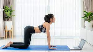 The study is one of. Best Yoga Poses For Your Health Forbes Health