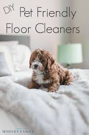 Diy Pet Baby Friendly Floor Cleaners Pet Safe Floor Cleaner Eco Friendly Bedroom Pet Friendly Flooring