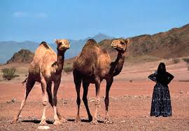 Explain how muhammad and his religion of islam was able to consolidate most of the arab world into one unified state so quickly. Bedouins Kids Britannica Kids Homework Help