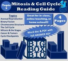 Phases of mitosis worksheet answer key. Cell Division Reading Worksheets Teaching Resources Tpt