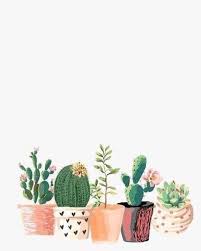 .engine wallpapers, best wallpapers for wallpaper engine, top 100 wallpapers, steam wallpaper, animated background, moving desktop, wallpaper nights 4. Green Wallpaper Aesthetic Cactus Novocom Top
