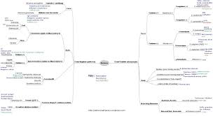 Bacteria Identification Flow Chart How To Crush The Usmle