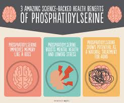 Why Phosphatidylserine May Be The Secret To Better Mental Health