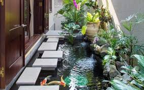 Rincian biaya pembuatan kolam ikan minimalis. Ggwoilcgpm5him