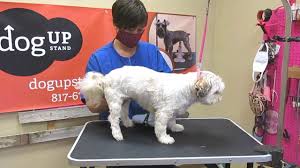 Many pet dryers come with a stand, which is extremely useful allowing you to have your hands free. Dogup Stand Keeps Dogs From Sitting While Grooming