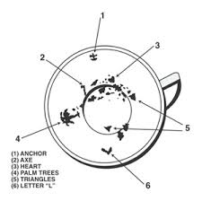 reading tea leaves