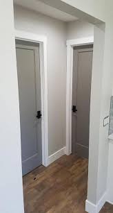 New Grey Door Interior White Trim Living Rooms Ideas Door In 2020 Grey Interior Doors Interior Door Colors Home Renovation