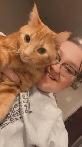 Hi, meet Pumpkin, my 2-year-old orange cat