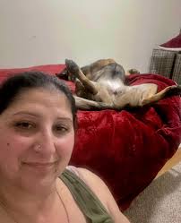 Assembly instructions not included. Show me your broken doggos