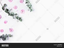 Masking tape border green border purple deko masking tape. Green Floral Frame Image Photo Free Trial Bigstock