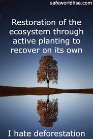 Maybe you would like to learn more about one of these? Best Ecosystem Restoration Slogans Quotes Messages Images Posters World Environment Day 2021 5 June Hse And Fire Protection Safety Ohsa Health Environment Process Safety Occupational Diseases
