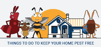 Believe it or not, the best way to keep pests out of your home is by denying them entrance in the first place. 6 Ultimate Ways To Keep Your Home Pest Free Pest Free Home