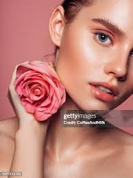67.765 Rose Bella Stock Photos, High-Res Pictures, and Images