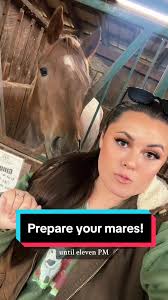 Replying to @alyssaconaway1 Prepare your mares for breeding season!🐴  #horsebreeding #breedingseason #broodmares #broodmaresoftiktok #horsebreeder
