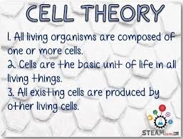 Classical Cell Theory Cell Theory Theories Sentence Stems