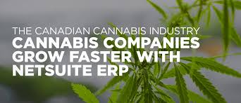 To get access to the oracle netsuite connector (and required files) and information on detailed steps on netsuite side, contact servicenow technical support. The Canadian Cannabis Industry Cannabis Companies Grow Faster With Netsuite Erp Gurus Solutions