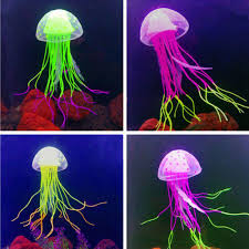 Moon jellyfish description, behavior, feeding, reproduction, moon jellyfish threats and more. Glowing Ornament Decor Moon Jellyfish Aquarium Artificial Fish Tank Buy At A Low Prices On Joom E Commerce Platform
